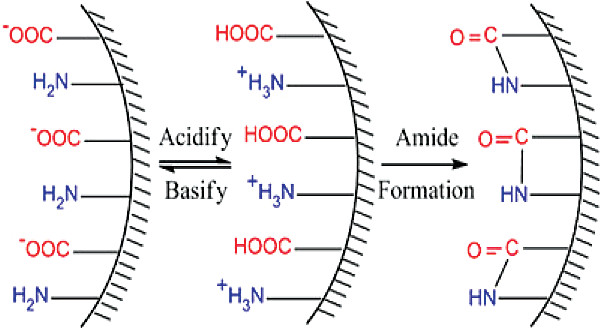 Synthesis and Characterization of the Amphoteric Amino Acid Bifunctional Mesoporous Silica