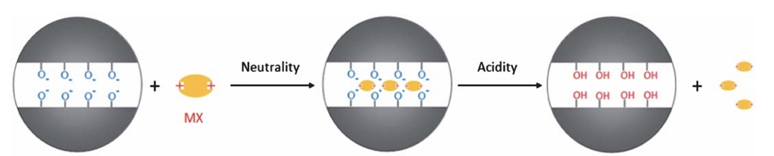 pH-Responsive Mitoxantrone (MX) Delivery using Mesoporous Silica Nanoparticles (MSN)