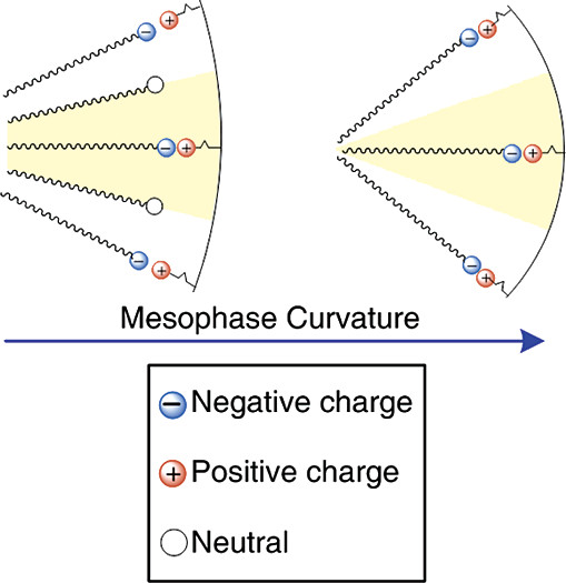 Formation Mechanism of Anionic Surfactant-Templated Mesoporous Silica