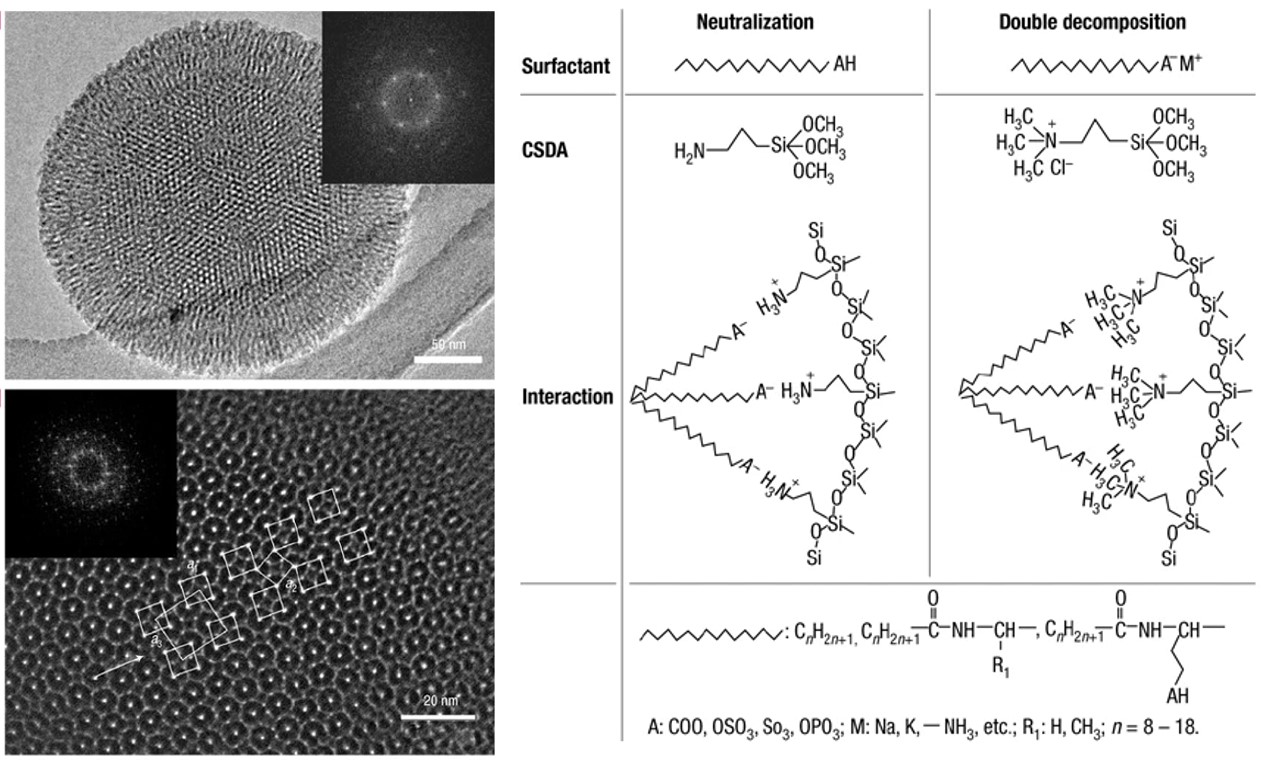 A Novel Anionic Surfactant Templating Route for Synthesizing Mesoporous Silica with Unique Structure 