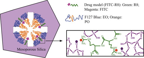 Mesostructured Silica Based Delivery System for a Drug with a Peptide as A Cell-Penetrating Vector