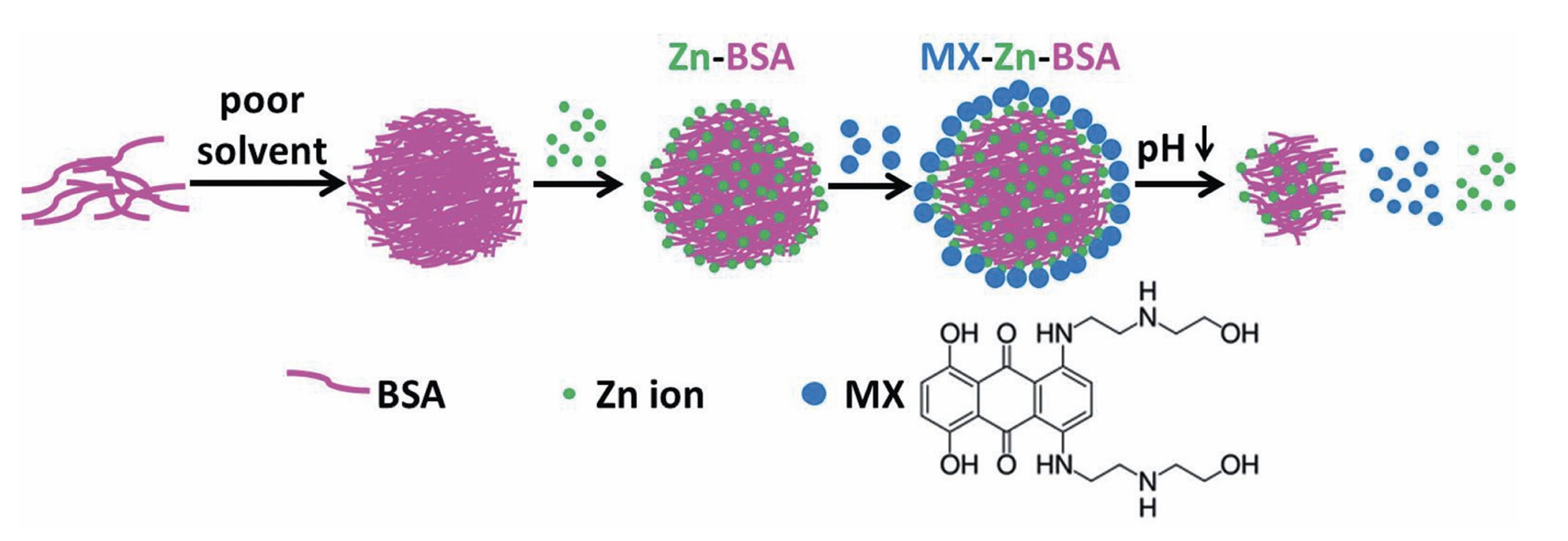 Coordination Bonding Based pH-Responsive Albumin Nanoparticles for Anticancer Drug Delivery