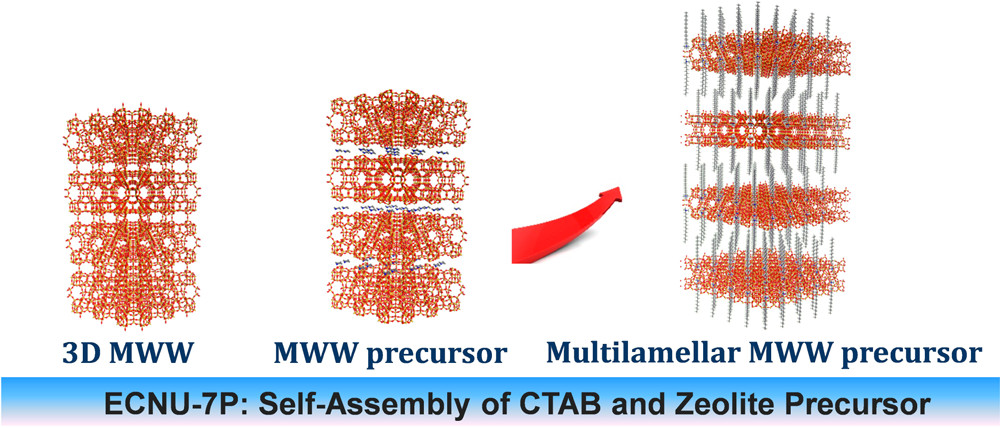 Self-Assembly of Cetyltrimethylammonium Bromide and Lamellar Zeolite Precursor for the Preparation of Hierarchical MWW Zeolite 