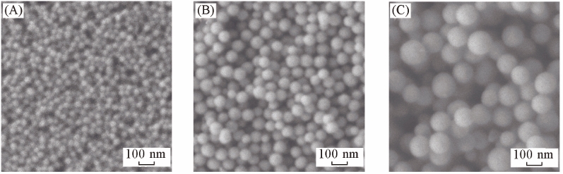 Amino Acid Bifunctionalized Mesoporous Silica Nanoparticles with Controllable Particle Size and Dispersibility