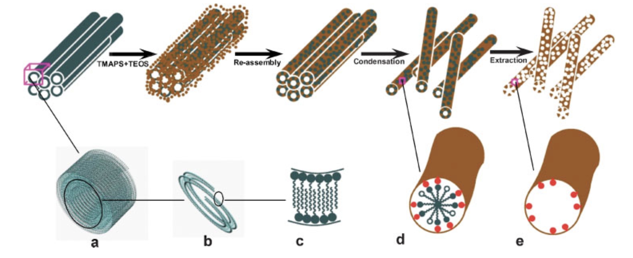 Synthesis and Characterization of Silica Nanotubes with Radially Oriented Mesopores