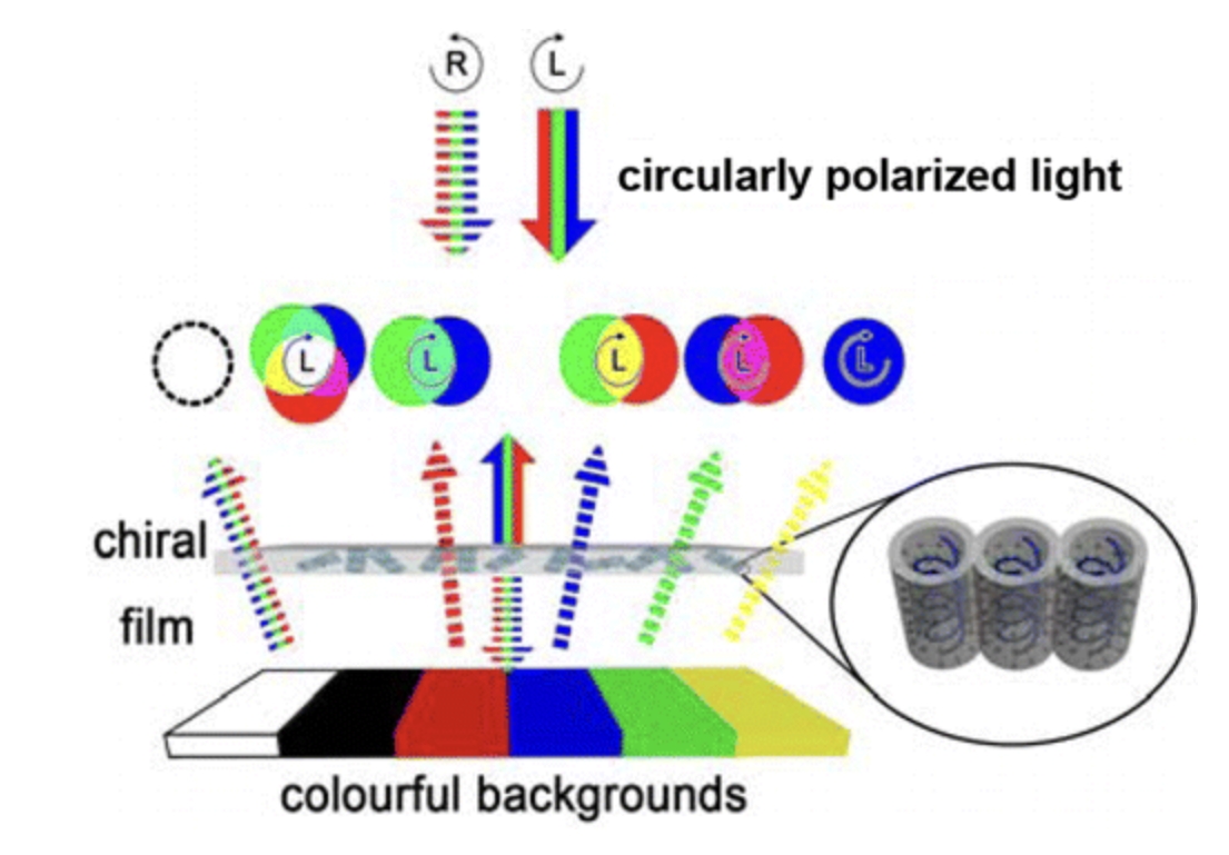 Optically Active Chiral DNA-Silica Hybrid Free-standing Films
