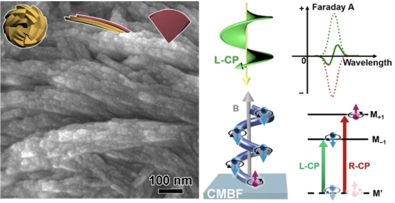 Spin selectivity of chiral mesostructured diamagnetic BiOBr films