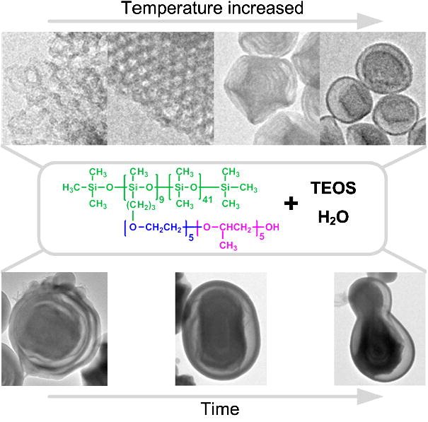 ABC Copolymer Silicone Surfactant Templating for Biomimetic Silicification