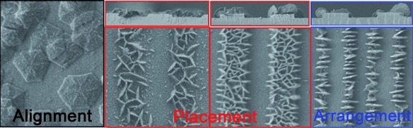 Template-Assisted Self-Assembly: Alignment, Placement, and Arrangement of Two-Dimensional Mesostructured DNA–Silica Platelets Hot paper