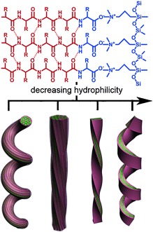 Control of Chiral Nanostructures by Self-Assembly of Designed Amphiphilic Peptides and Silica Biomineralization
