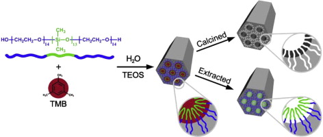 Silicone Surfactant Templated Mesoporous Silica