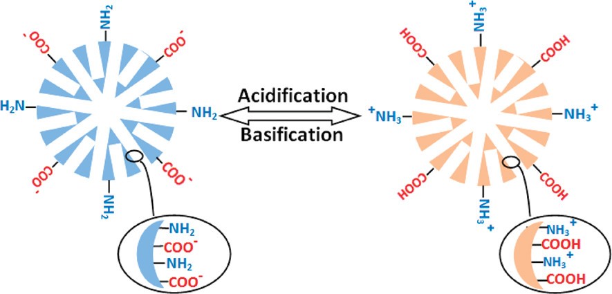 Anionic-Cationic Switchable Amphoteric Monodisperse Mesoporous Silica Nanoparticles