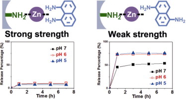 Molecular design of Coordination Bonding Architecture in Mesoporous Nanoparticles for Rational pH–Responsive Delivery