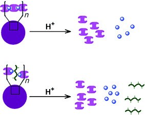 A pH-Responsive Cleavage Route Based on a Metal–Organic Coordination Bond