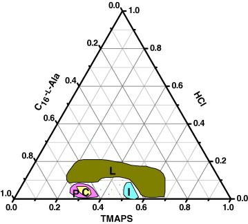 Synthetic Design towards Targeted Chiral Anionic Surfactant Templated Chiral Mesoporous Silica