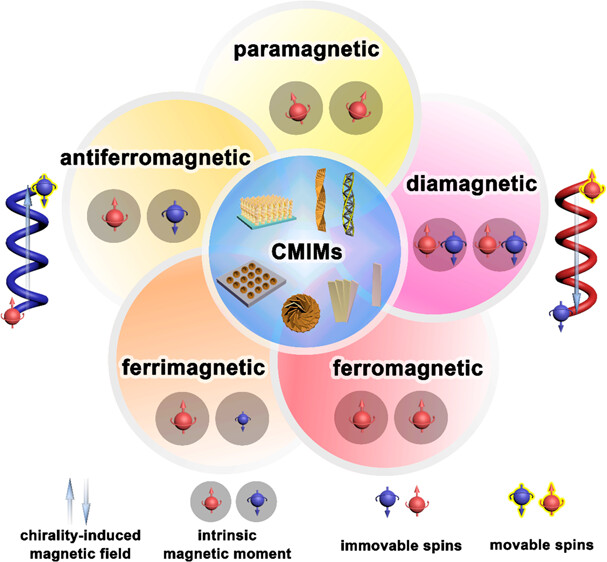 Spin Chiral Anisotropy of Chiral Mesostructured Inorganic Materials with Different Intrinsic Magnetisms