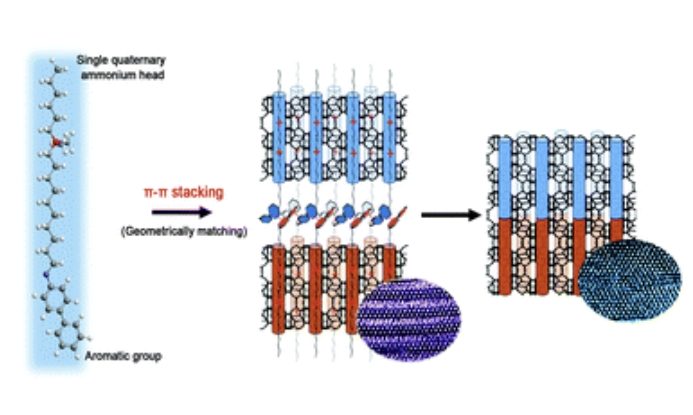 A design concept of amphiphilic molecules for directing hierarchical porous zeolite
