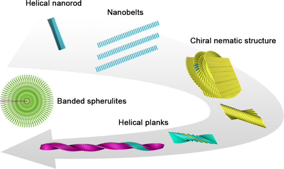 Self-Assembly of Chiral Nematic-Like Films with Chiral Nanorods Directed by Chiral Molecules