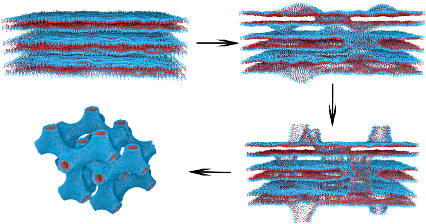 Direct imaging of the structural transition and interconversion of macroporous bicontinuous diamond-surface structure