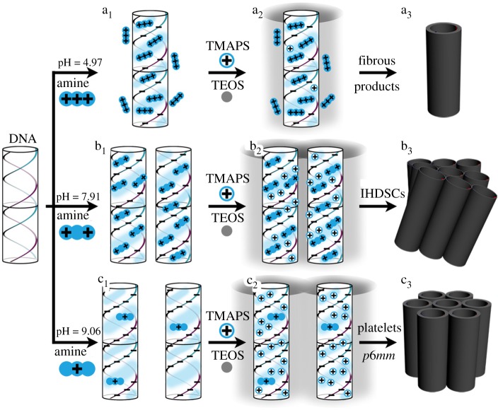Formation of Impeller-Like Helical DNA-Silica Complexes by Polyamines Induced Chiral Packing