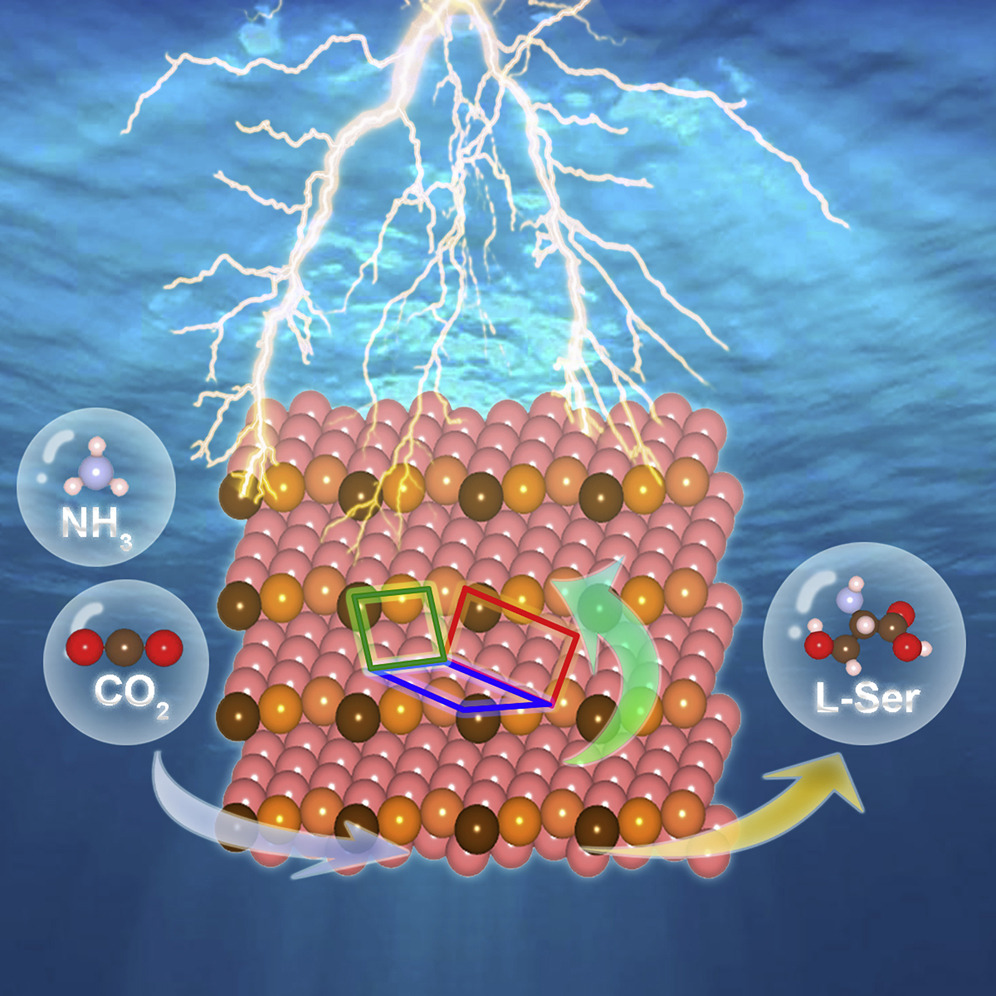 Synthesis of Amino Acids by Electrocatalytic Reduction of CO2 on Chiral Cu Surfaces
