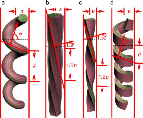 Fabrication of Chiral Materials via Self-Assembly and Biomineralization of Peptides