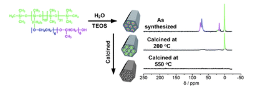 Functional Group-Template Integrated ABC Copolymer Silicone Surfactant Directing for Highly Hydrophobic Mesoporous Silica
