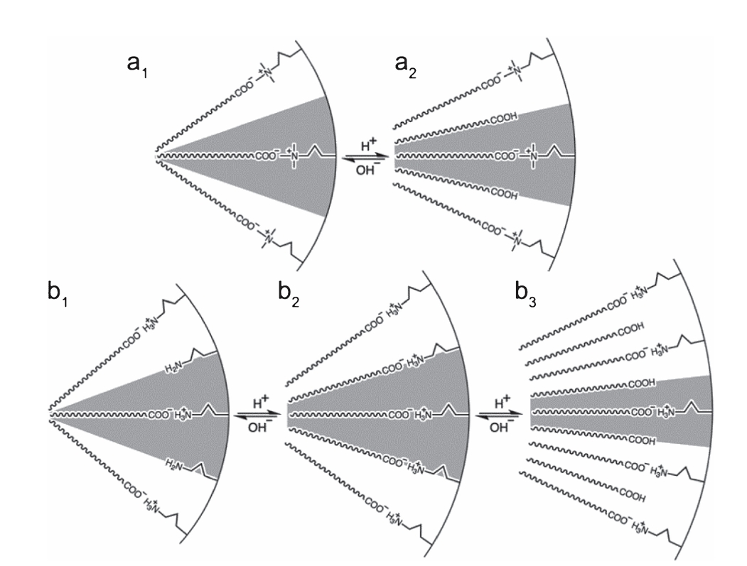 Fabrication of Mesostructured Silica Materials through Co-Structure-Directing Route
