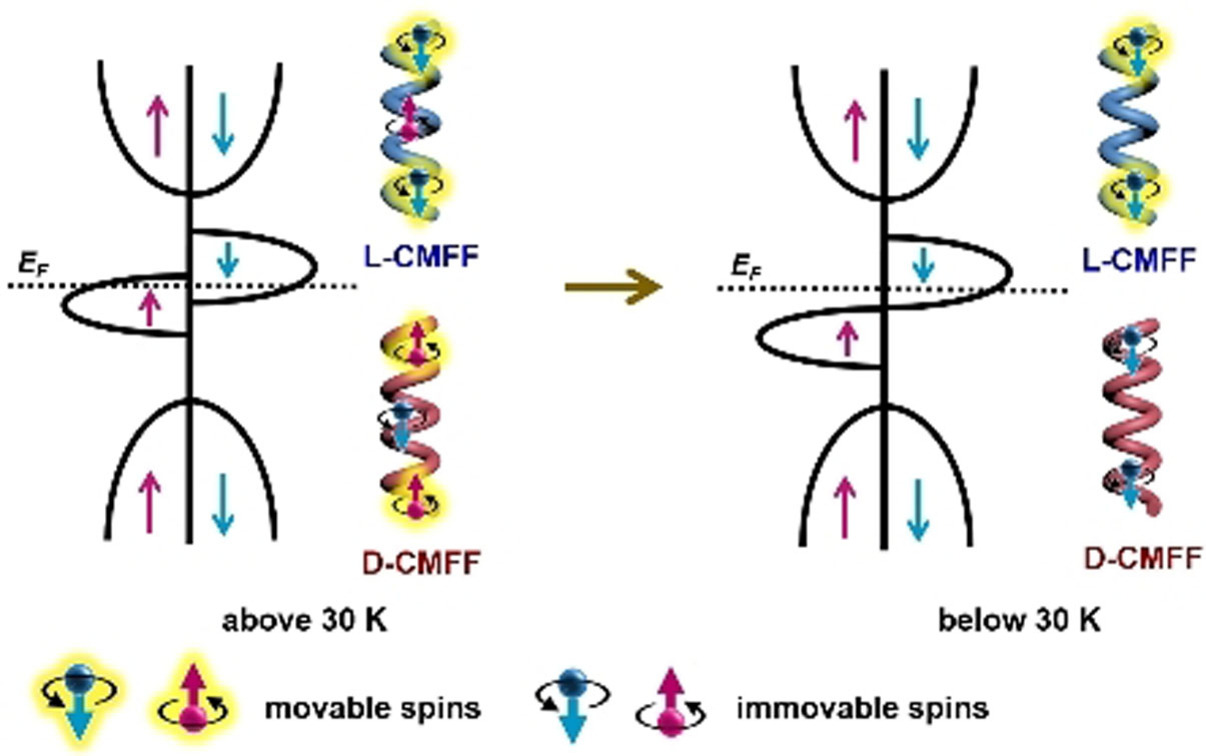 Resistance-Chiral Anisotropy of Chiral Mesostructured Half-metallic Fe3O4 Films