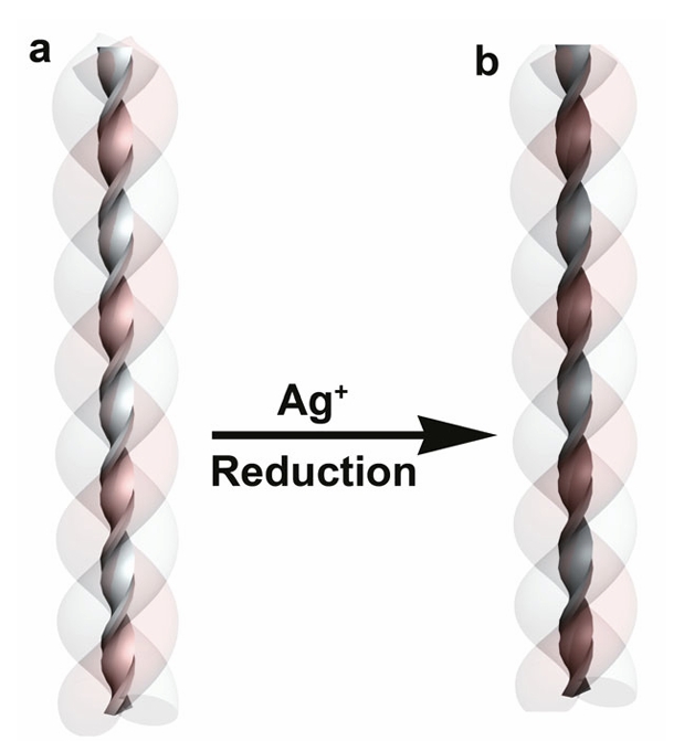 Optically active chiral Ag nanowires 