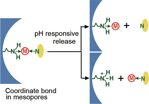 Designable Coordination Bonding in Mesopores as a pH-Responsive Release System