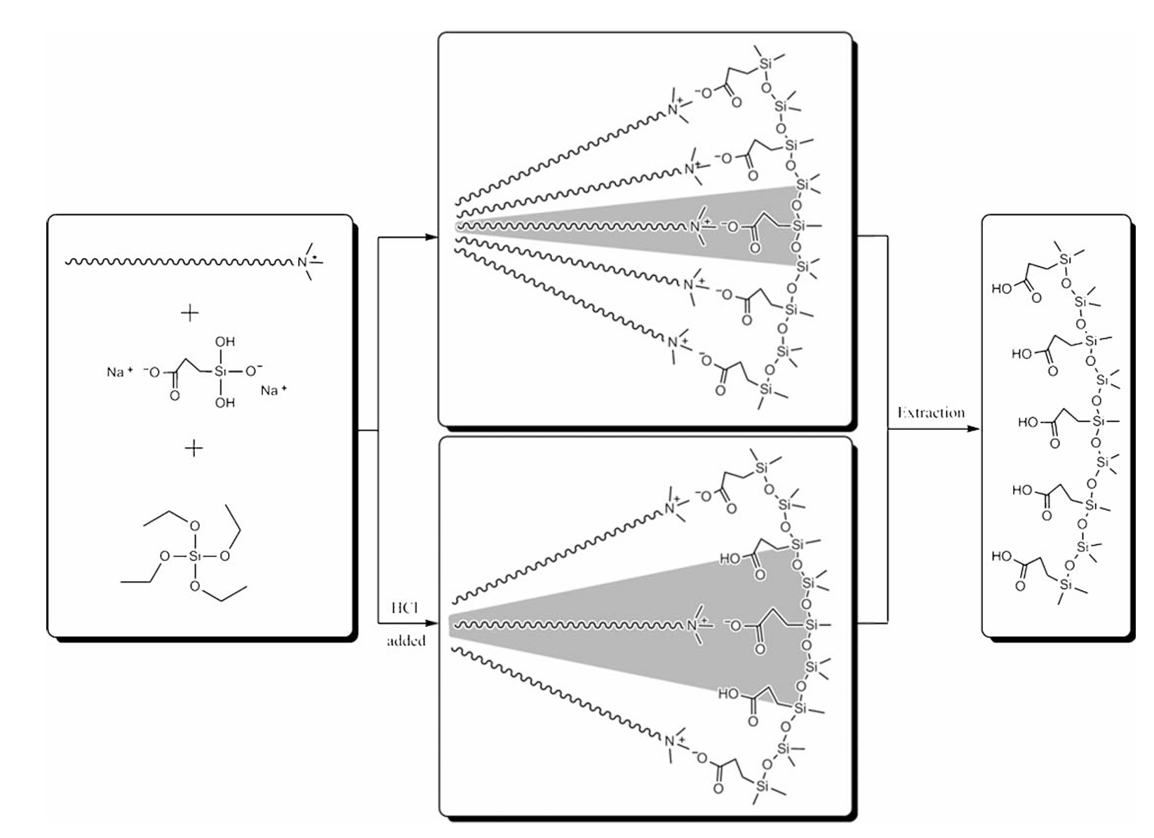 Synthesis of Carboxylic Group Functionalized Mesoporous Silicas (CFMSs) with Various Structures