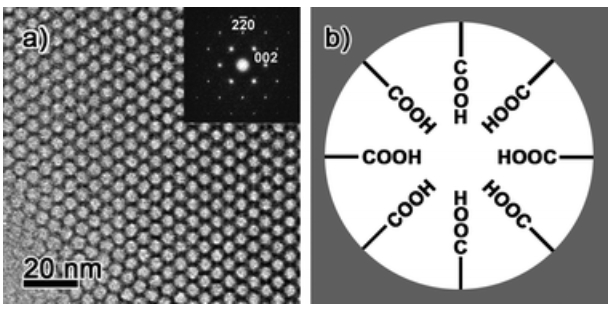 Carboxylic Group Functionalized Ordered Mesoporous Silicas