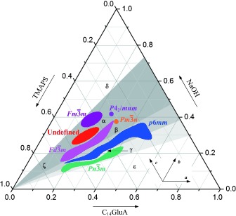 Formation of Diverse Mesophases Templated by Diprotic Anionic Surfactant