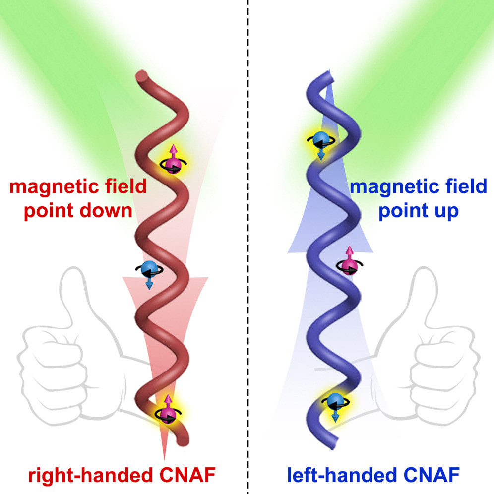 Photomagnetic-chiral anisotropy of chiral nanostructured gold films