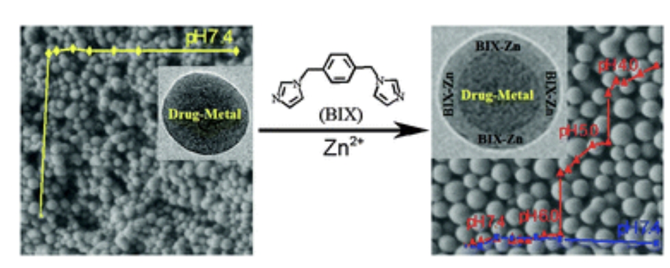 Synthesis of Core–Shell Coordination Polymer Nanoparticles (CPNs) for pH-Responsive Controlled Drug Release