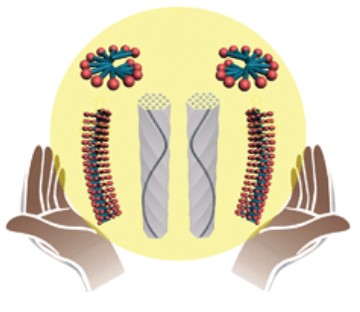Chiral Mesoporous Silica: Chiral Construction and Imprinting via Cooperative Self-Assembly of Amphiphiles and Silica Precursors