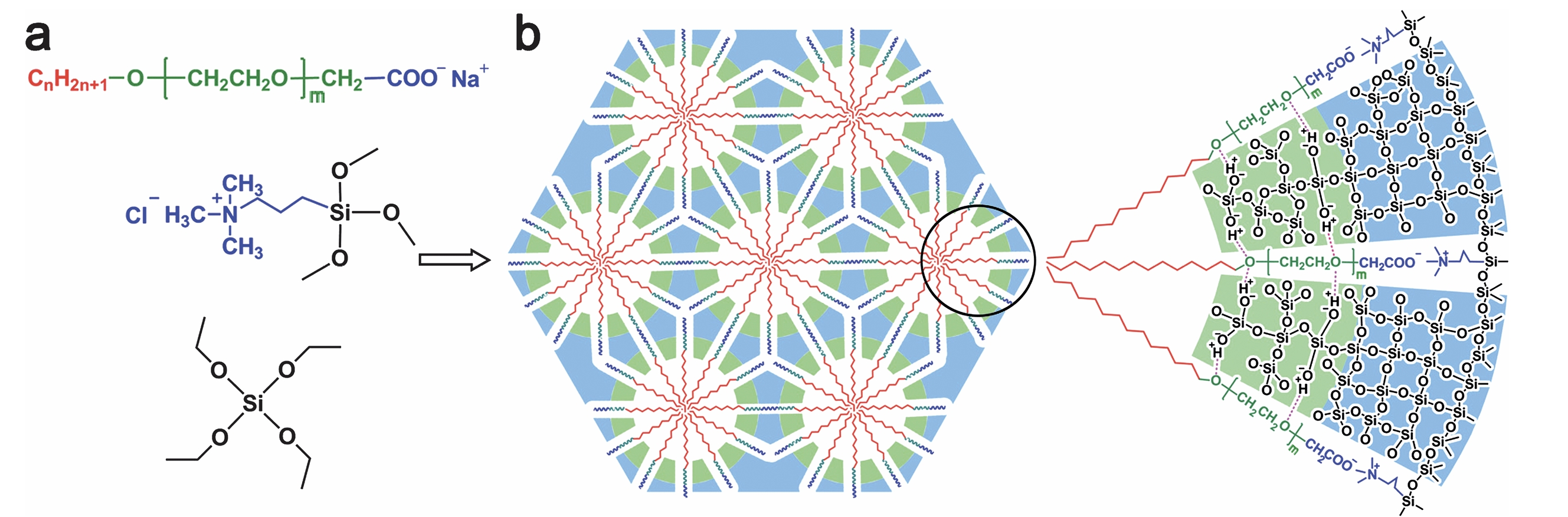 Molecular Design of AEC Tri-Block Anionic Surfactant towards Rational Synthesis of Targeted Thick-Walled Mesoporous Silica