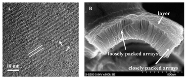 Novel approaches to synthesize self-supported ultrathin carbon nanowire arrays templated by MCM-41