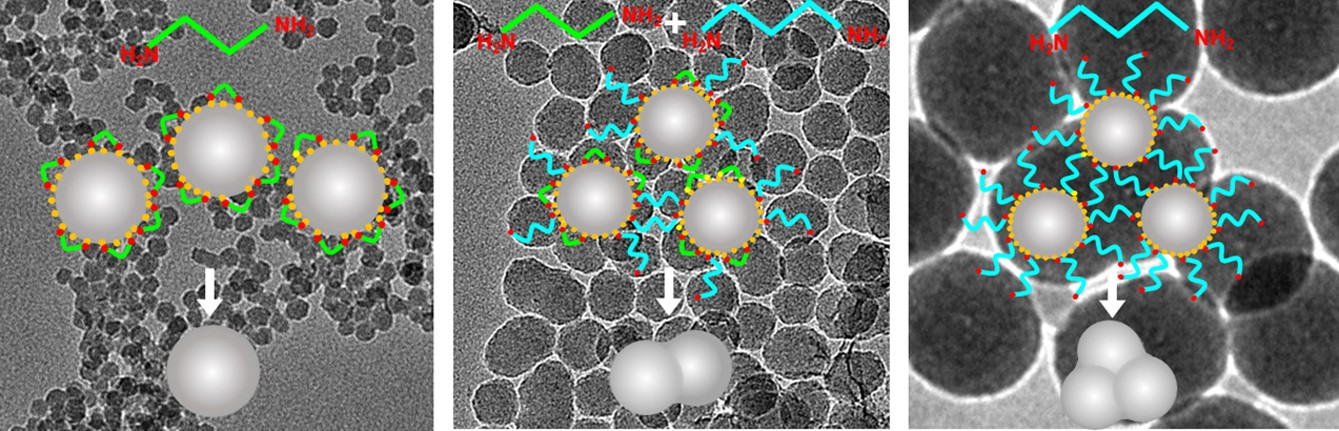 Synthesis of Anisotropic Silica Nanoparticles