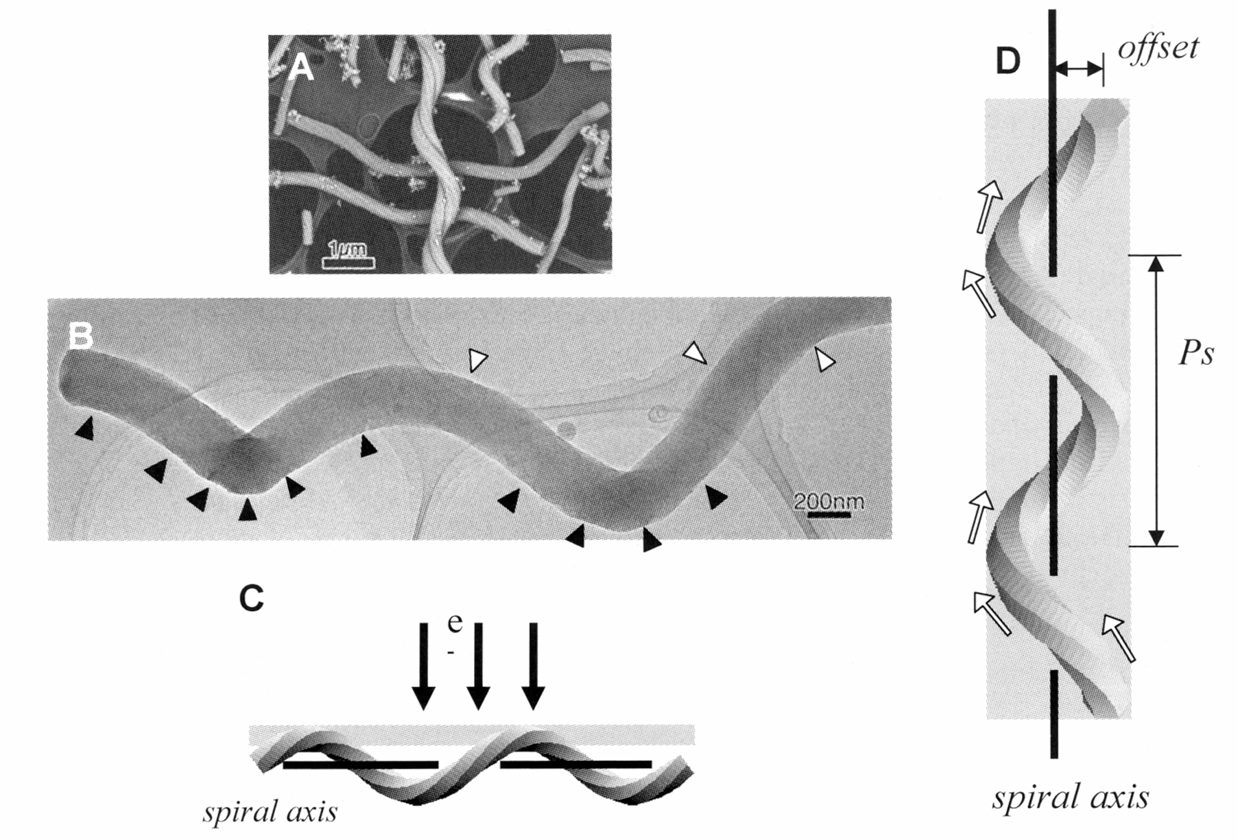 Studies of Anionic Surfactant Template Mesoporous Structures by Electron Microscopy
