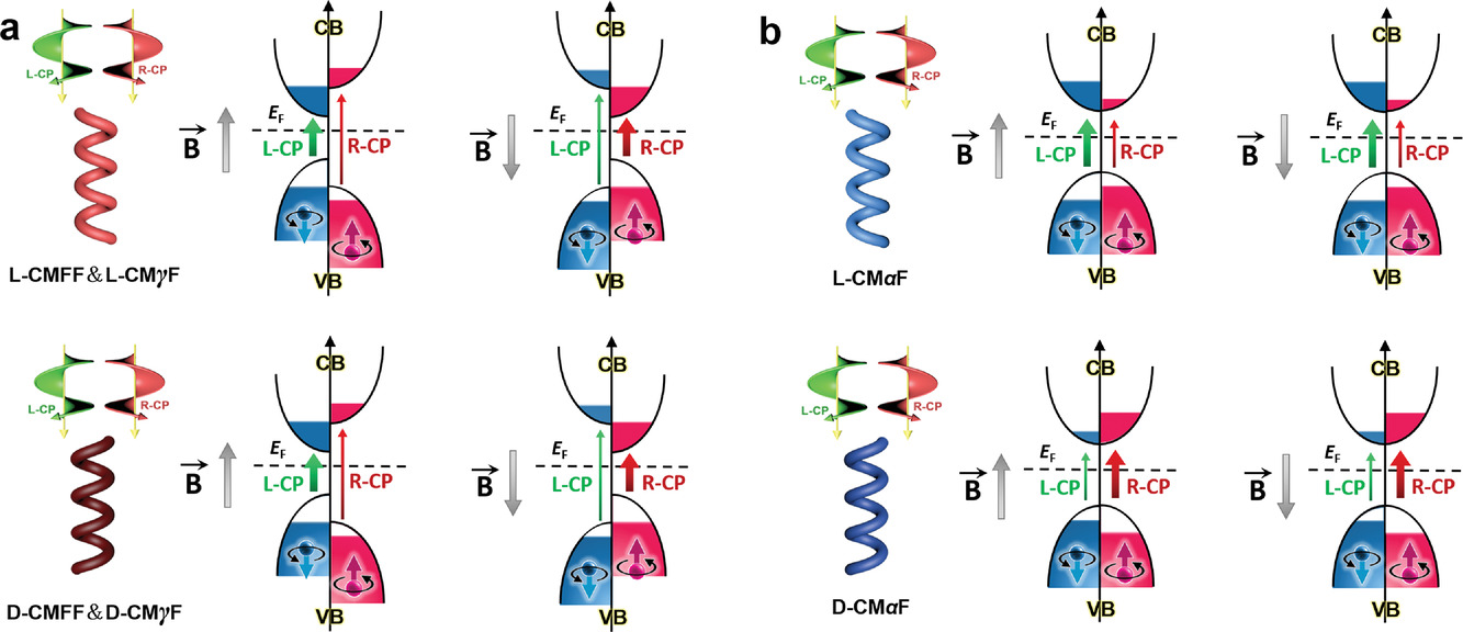 Spin Selectivity of Chiral Mesostructured Iron Oxides with Different Magnetisms