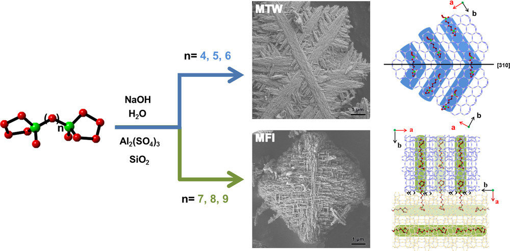 Bolaform Molecules Directing Intergrown Zeolites
