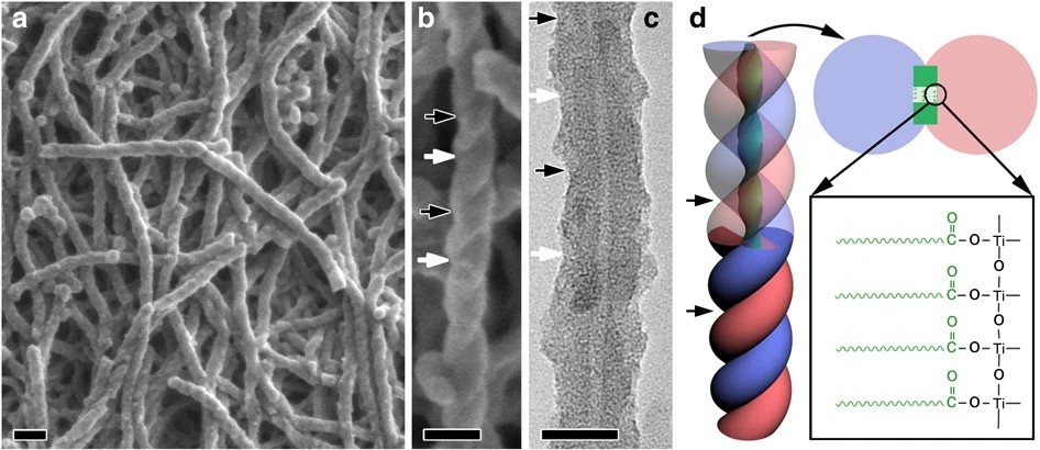 Synthesis of Chiral TiO2 Nanofibre with Electron Transition-Based Optical Activity