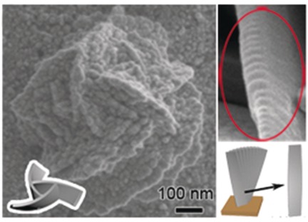 Ag Films with Hierarchical Chiralities 
