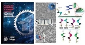 Chirality within chirality—multioptical activities of hierarchical nanostructures