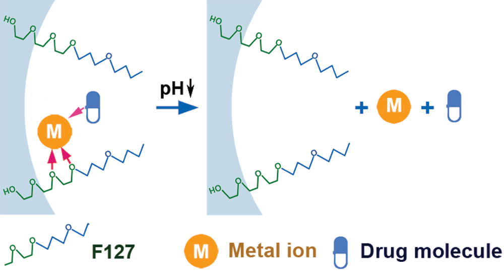 pH-Responsive Drug Delivery System Based on Coordination Bonding in a Mesostructured Surfactant/Silica Hybrid
