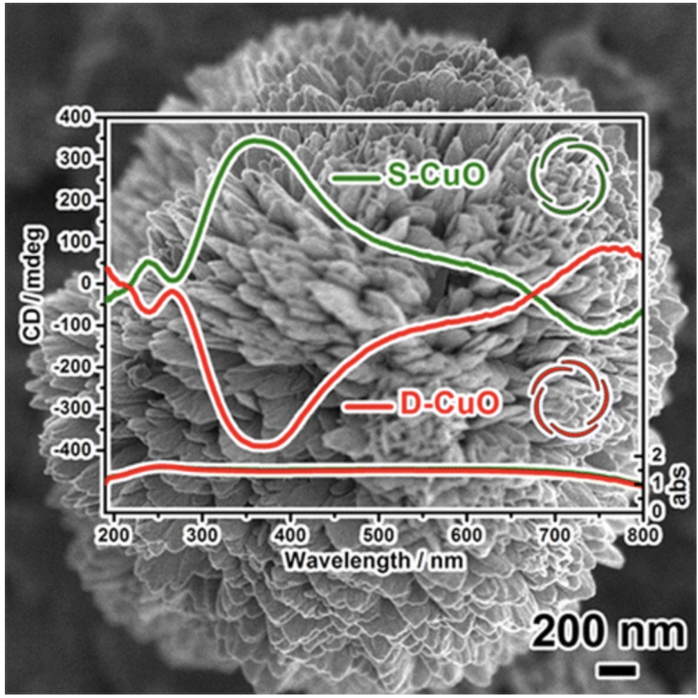 Optically Active Chiral CuO “Nanoflowers”