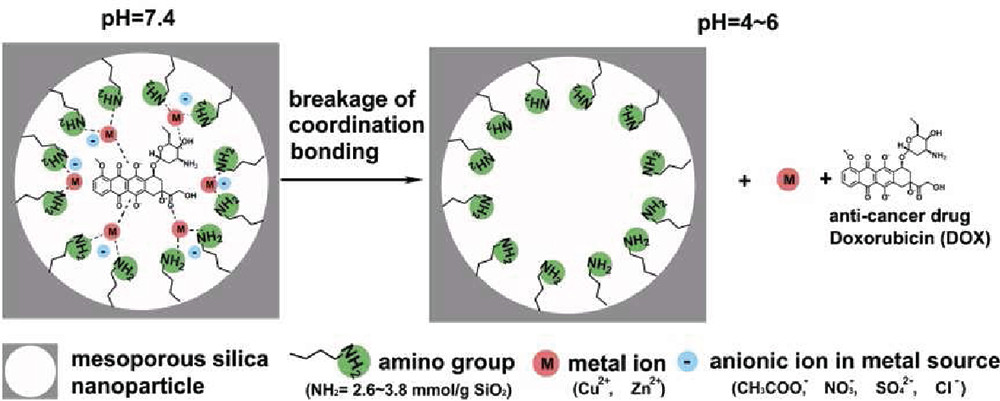 Coordination Bonding-Based Mesoporous Silica for pH-Responsive Anticancer Drug Doxorubicin Delivery
