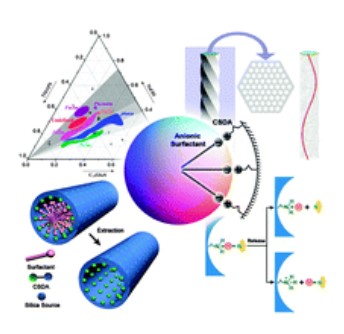 Anionic Surfactant Templated Mesoporous Silicas (AMSs)
